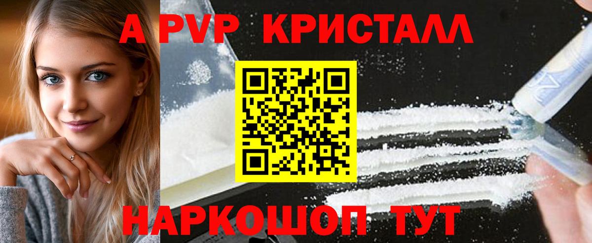 Alfa_PVP СК Гудермес