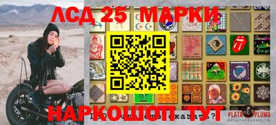 индика Малоярославец