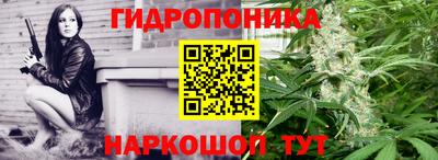 СК Мариинск