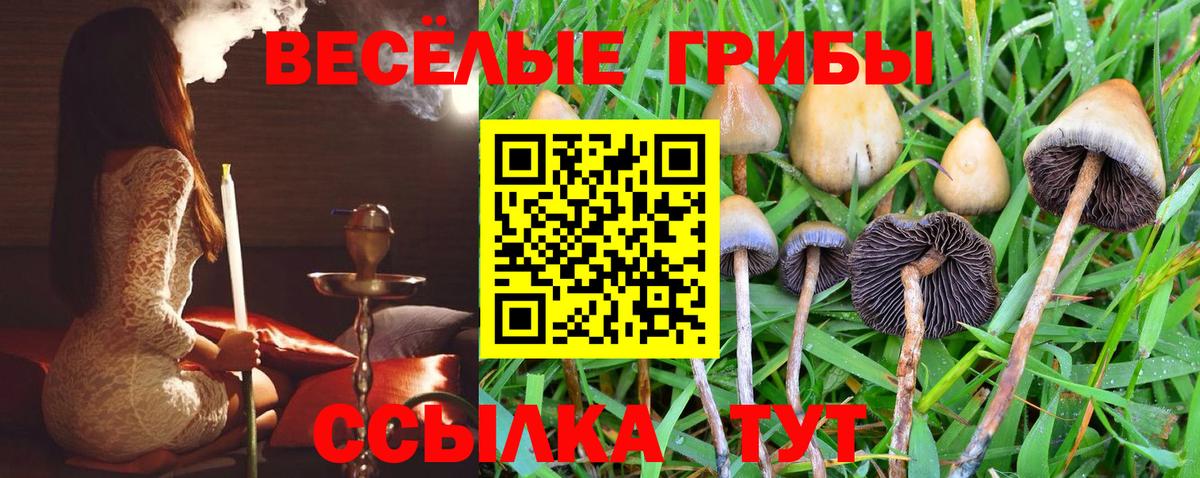 Гудермес  Псилоцибиновые грибы мицелий  Вход с VPN 