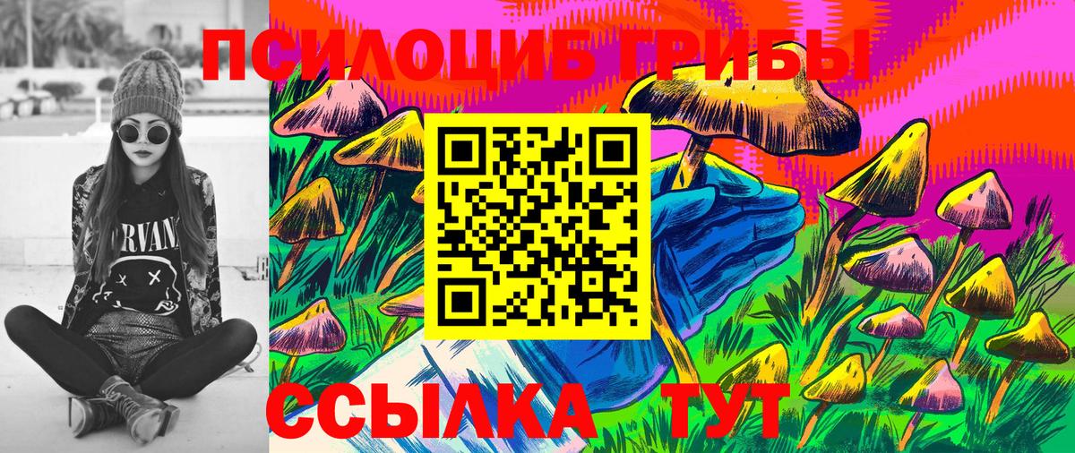 Псилоцибиновые грибы Psilocybe Гудермес