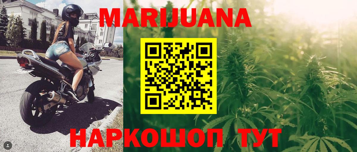 Марихуана сатива Гудермес
